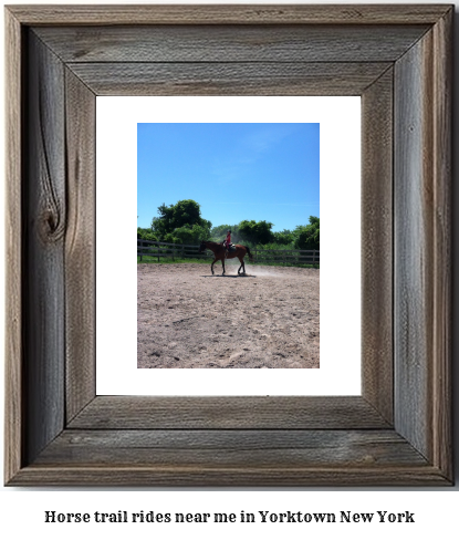 horse trail rides near me in Yorktown, New York